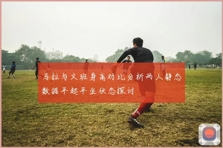 马拉与文班身高对比分析两人静态数据平起平坐状态探讨