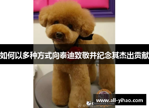 如何以多种方式向泰迪致敬并纪念其杰出贡献