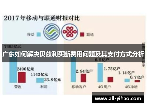 广东如何解决贝兹利买断费用问题及其支付方式分析