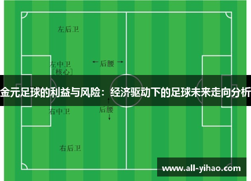 金元足球的利益与风险：经济驱动下的足球未来走向分析