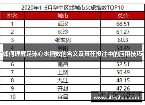 如何理解足球心水指数的含义及其在投注中的应用技巧