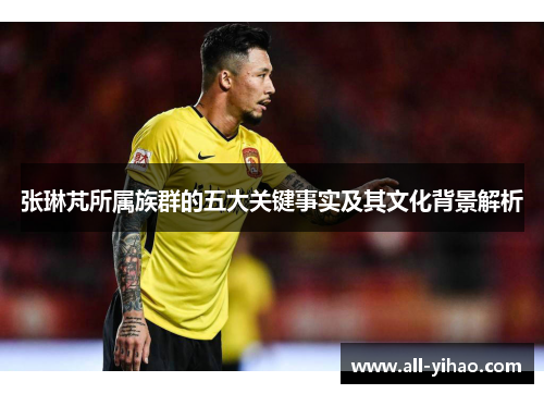 张琳芃所属族群的五大关键事实及其文化背景解析