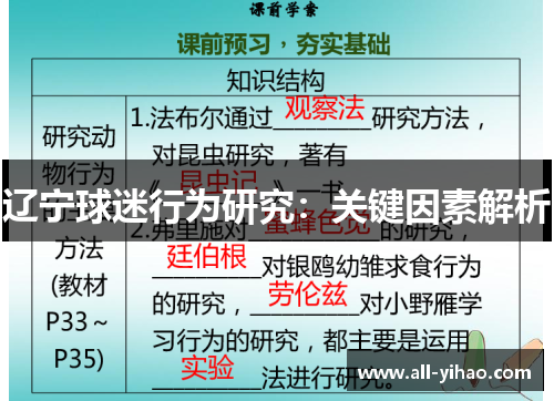 辽宁球迷行为研究：关键因素解析